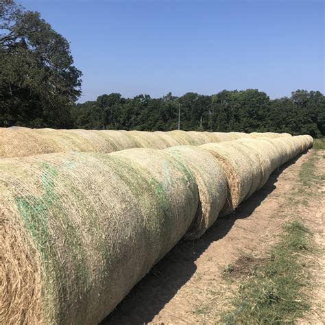 ALFALFA (HORSE QUALITY) 360. . Hay for sale in texas